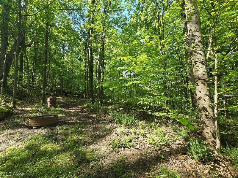 10660 Blackrun Road, Frazeysburg, OH 43822 Photo 31