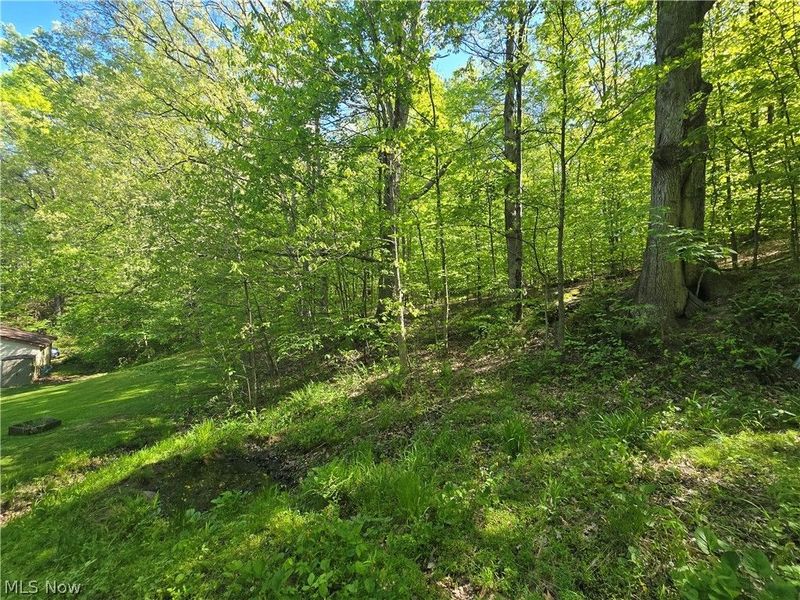 10660 Blackrun Road, Frazeysburg, OH 43822 Photo 32