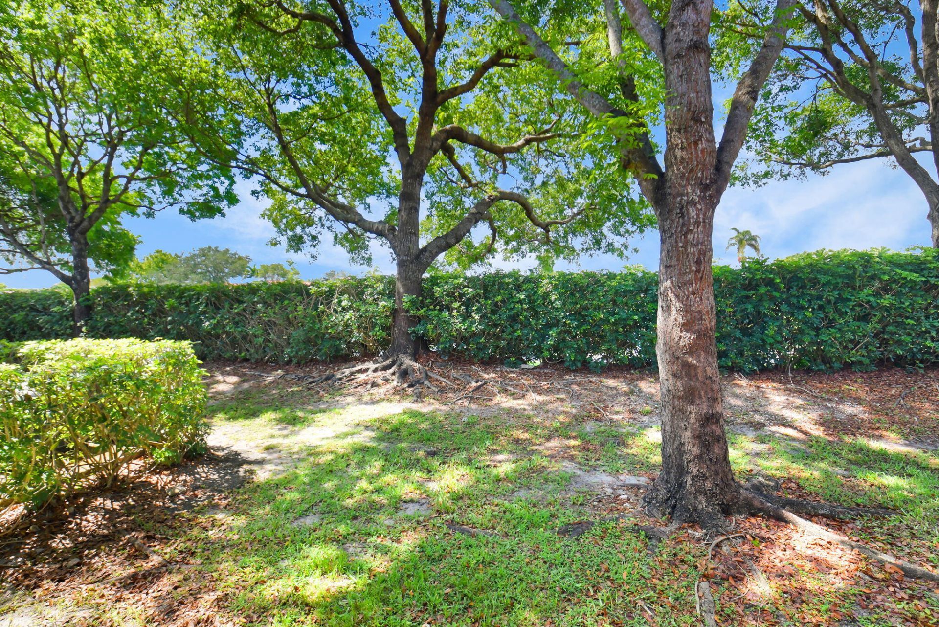 15165 Michelangelo Boulevard, Unit 106, Delray Beach, FL 33446 Photo