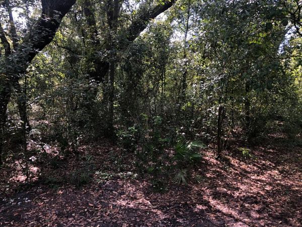0 Co Rd 54, Kathleen, FL 33849