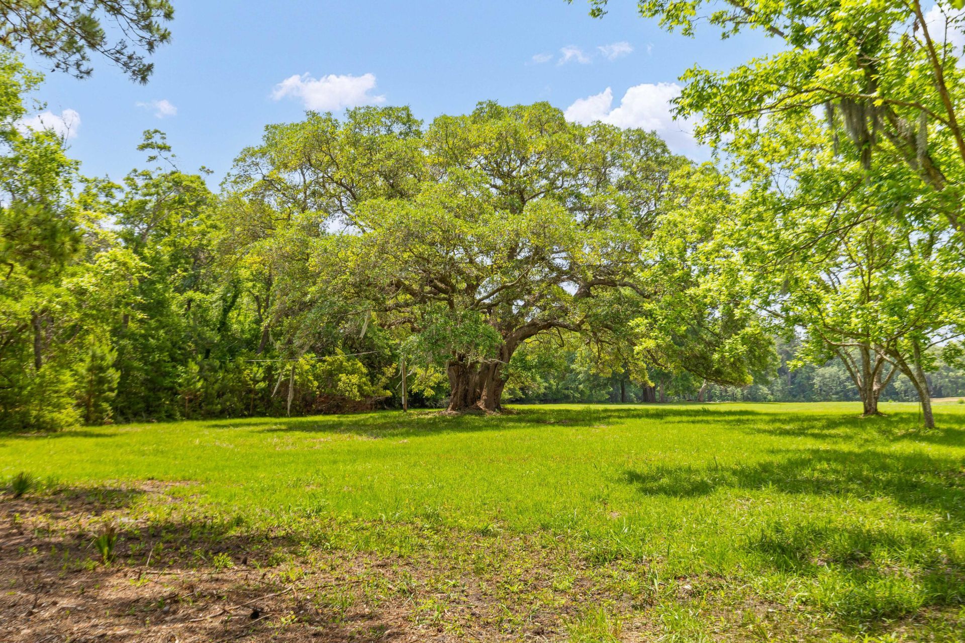 2571 Bryans Dairy Road Photo 13