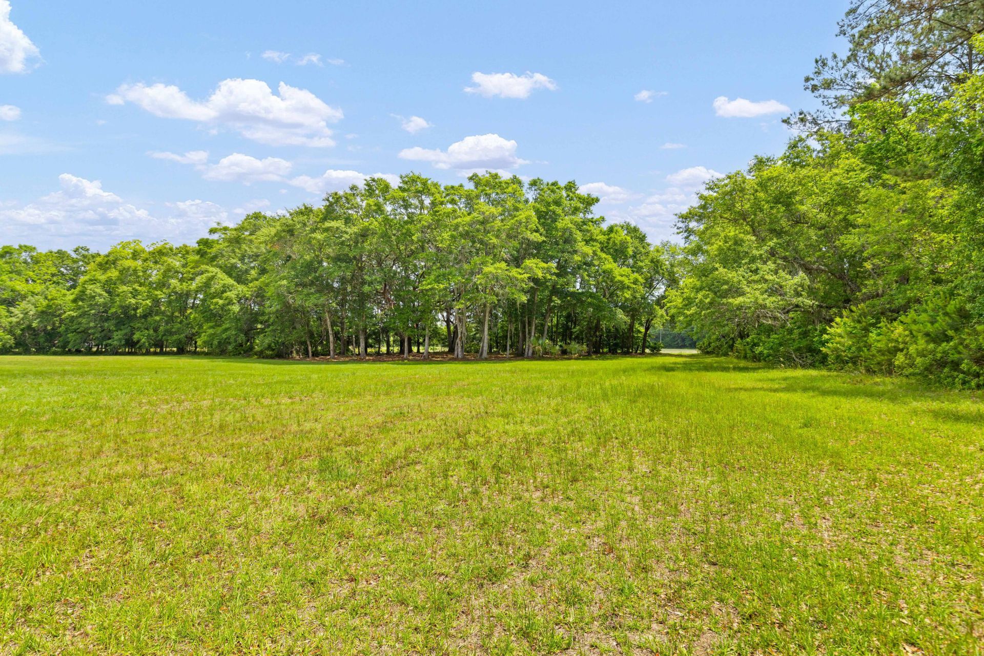 2571 Bryans Dairy Road Photo 6