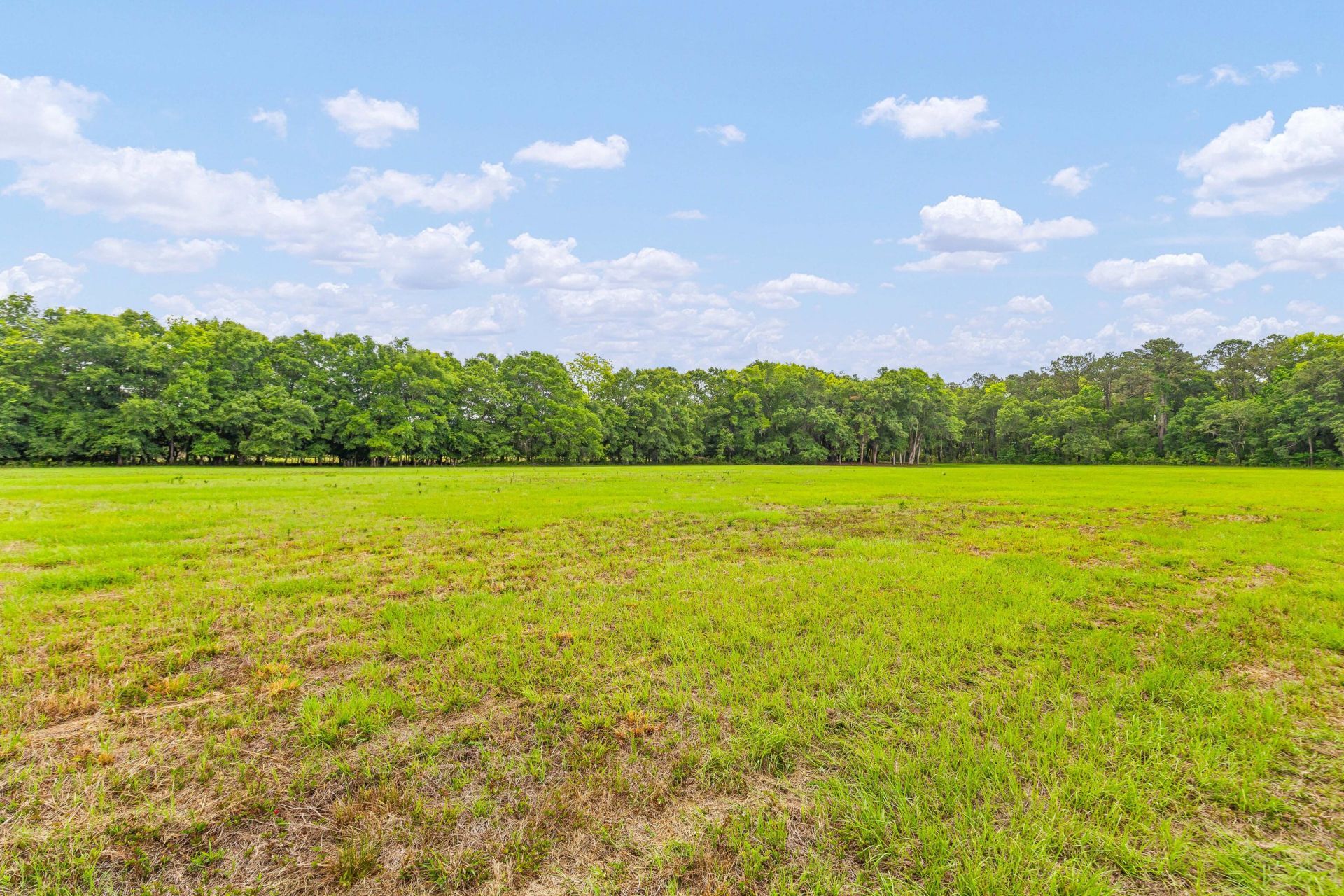 2571 Bryans Dairy Road Photo 7