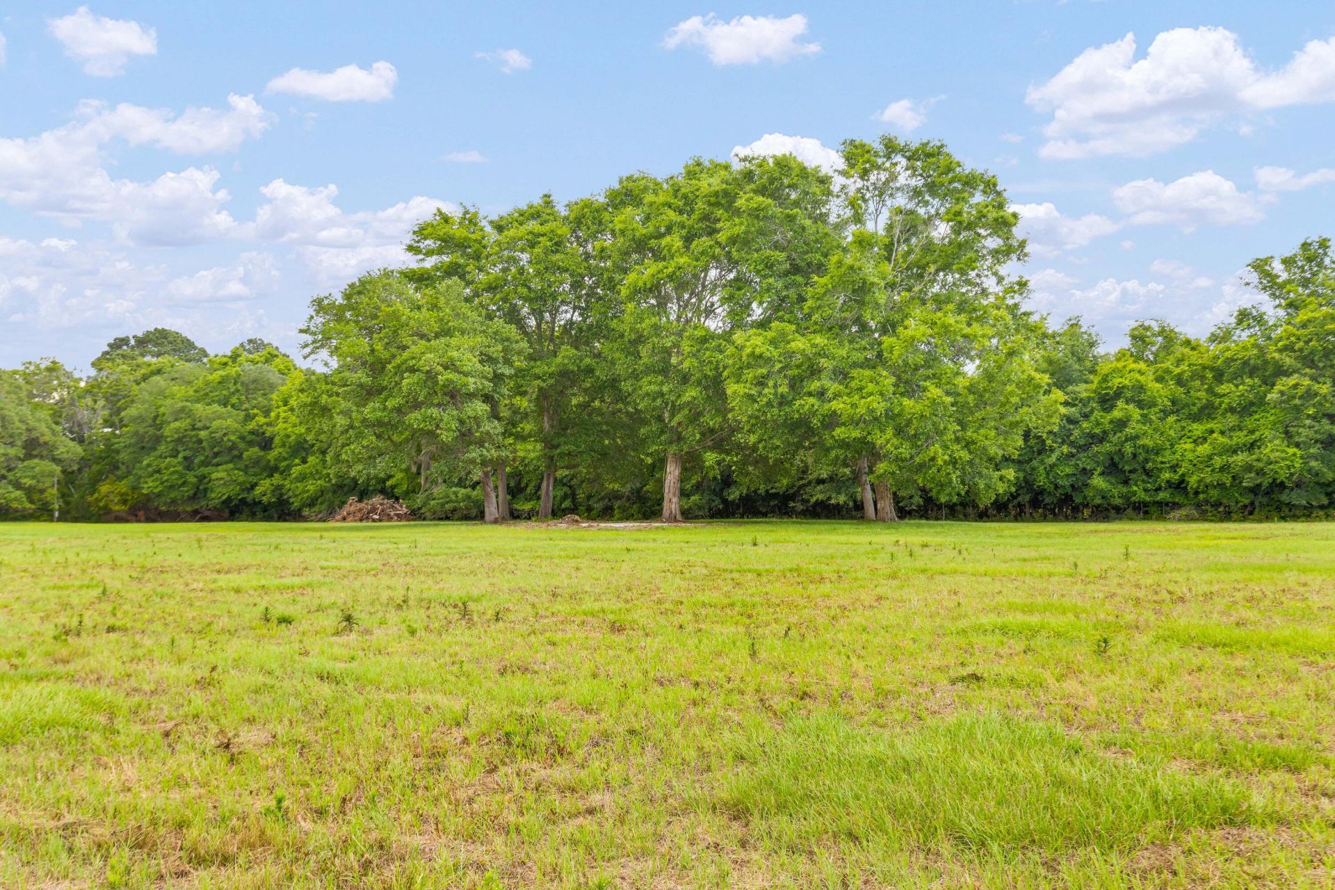 2571 Bryans Dairy Road Photo 8