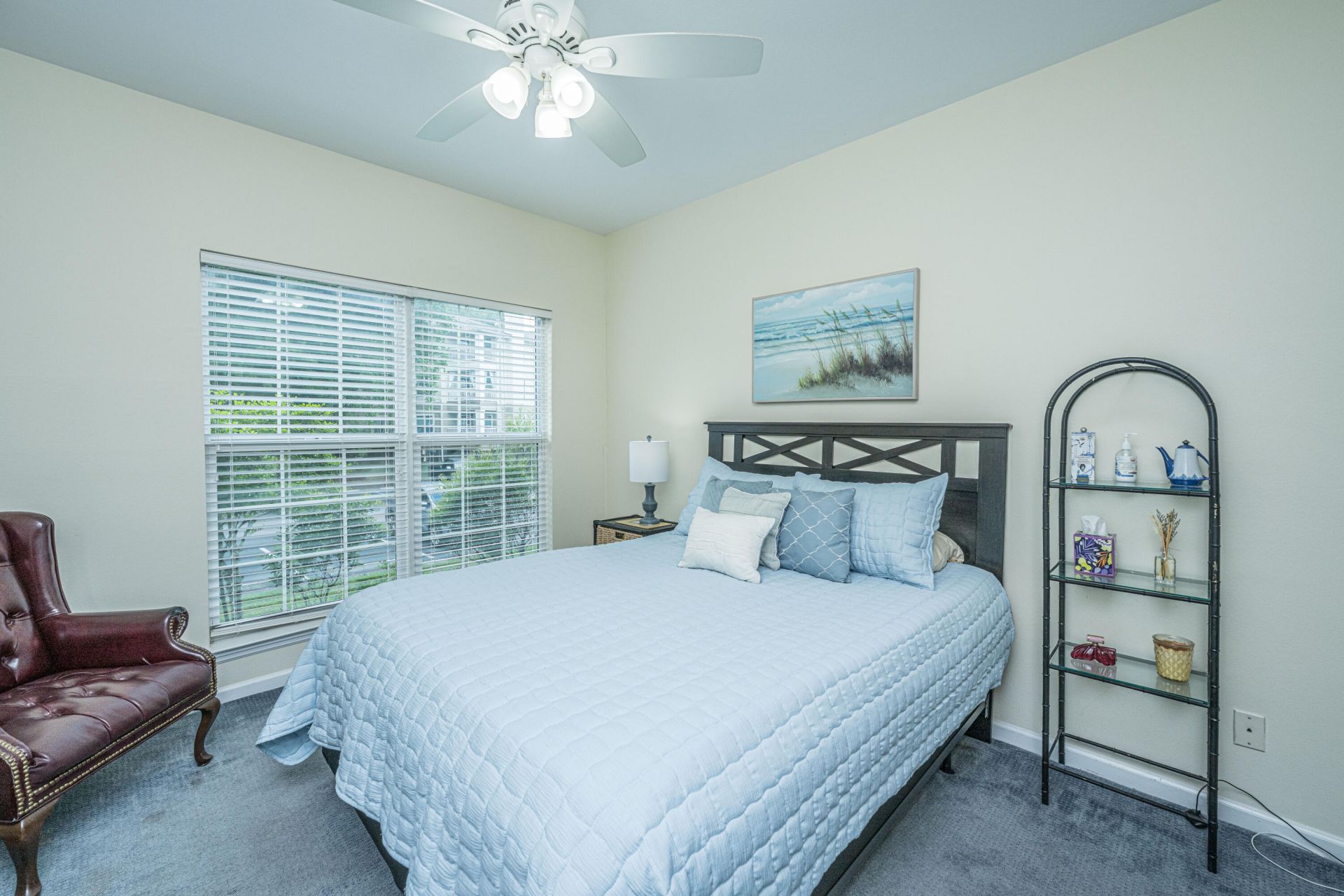 700 Daniel Ellis Dr. Drive Photo 17