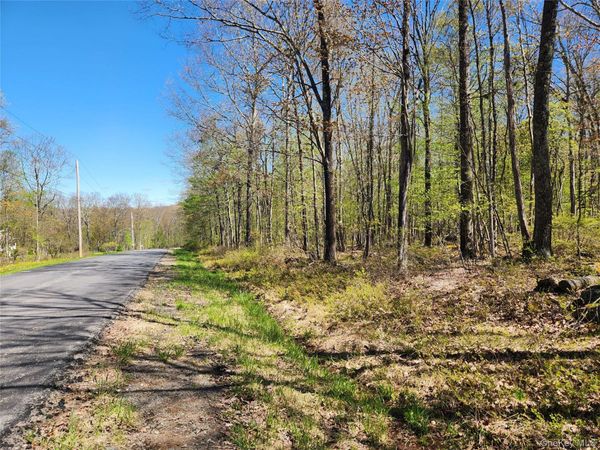 Lot 34 Lenni Lenape Road , Cochecton, NY 12726