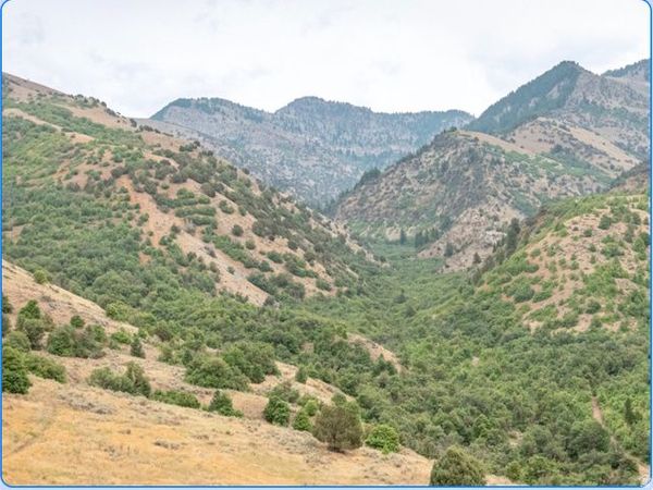 0 00 , Hyde Park, UT 84318