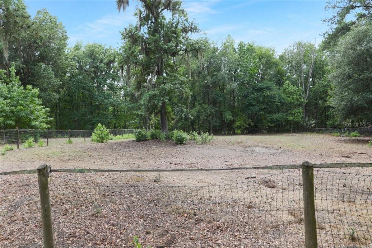 22731 NW 91st Court Road, Micanopy, FL 32667 Photo