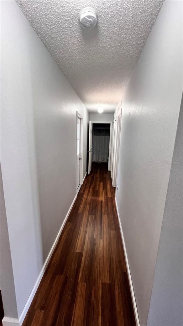 11102 Upton Street , Spring Hill, FL 34608 Photo