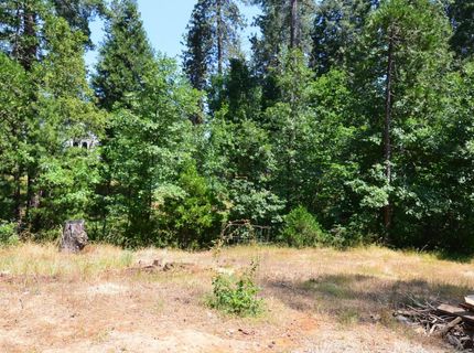 662 Roan Way, Avery, CA 95224 Photo