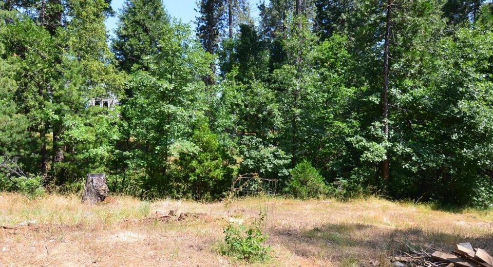 662 Roan Way, Avery, CA 95224 Photo