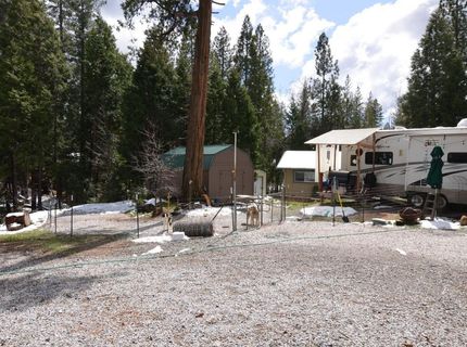 662 Roan Way, Avery, CA 95224 Photo