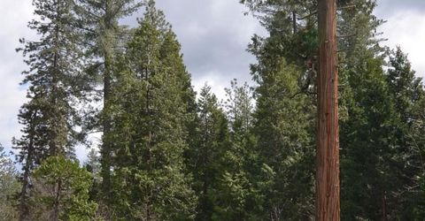 662 Roan Way, Avery, CA 95224 Photo