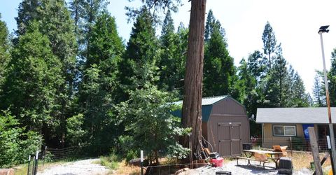 662 Roan Way, Avery, CA 95224 Photo