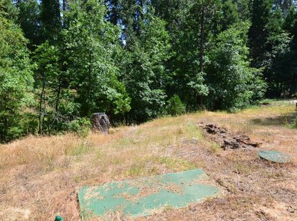 662 Roan Way, Avery, CA 95224 Photo