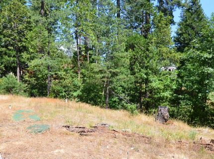 662 Roan Way, Avery, CA 95224 Photo