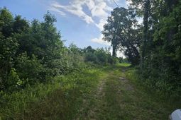 54.71ac Willoughby Rd.  photo 4