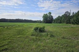 54.71ac Willoughby Rd.  photo 4