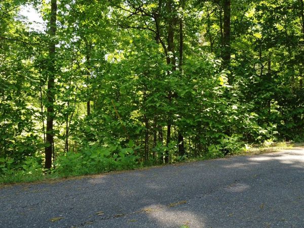 Deer Run Point, LaFollette, TN 37766