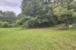 4412 Festival Trail Road  photo 4