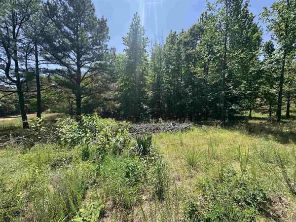 1096 CR 472 , Piggott, AR 72454