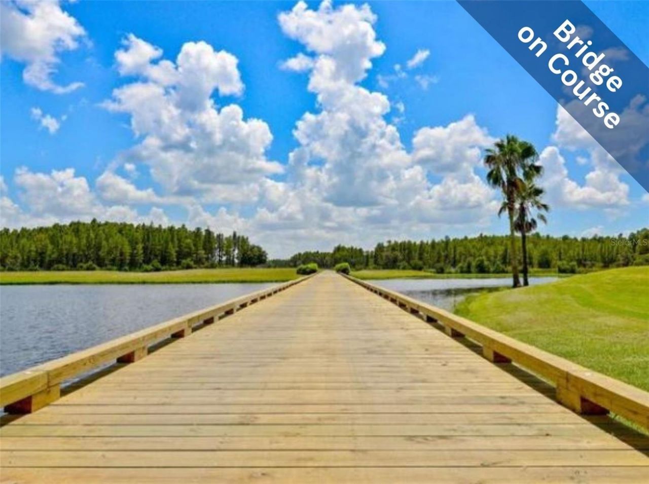 1624 Lakestone Drive , Trinity, FL 34655 Photo