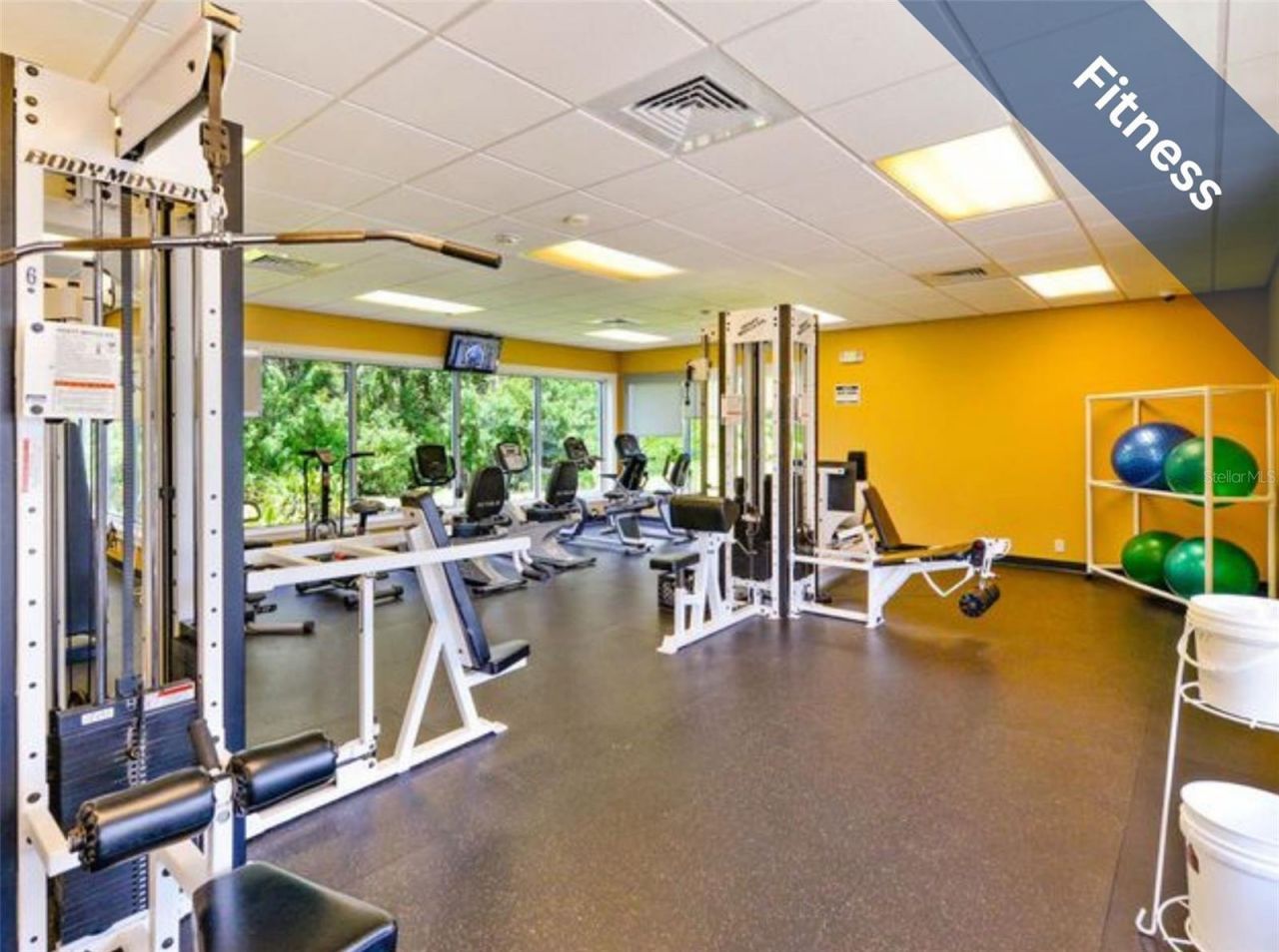 1624 Lakestone Drive , Trinity, FL 34655 Photo
