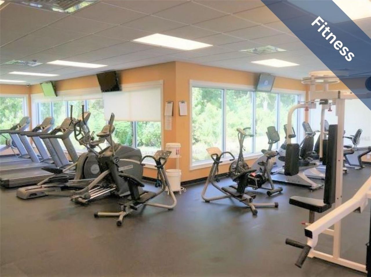 1624 Lakestone Drive , Trinity, FL 34655 Photo