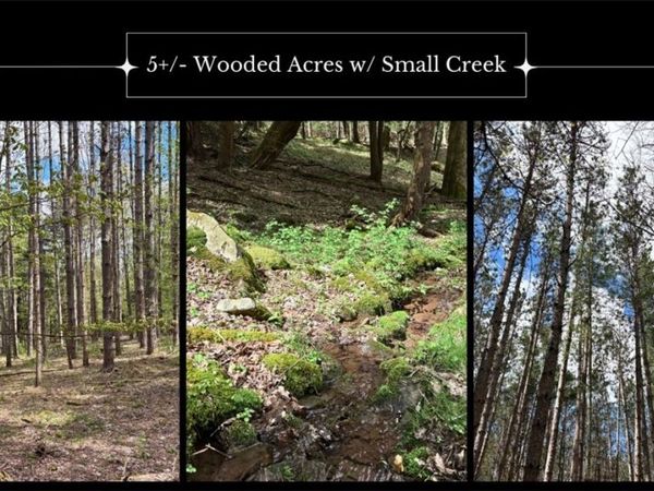 Lot 16 Putnam Road, Davenport, NY 13750