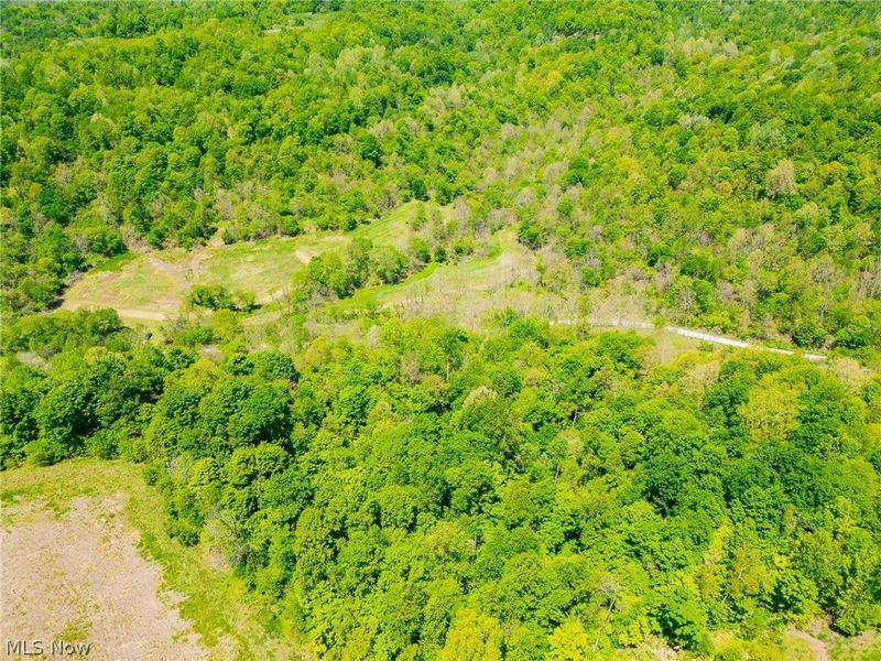 37500 Goose Run Road, Dexter City, OH 45727 Photo 12