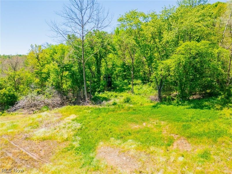37500 Goose Run Road, Dexter City, OH 45727 Photo 17
