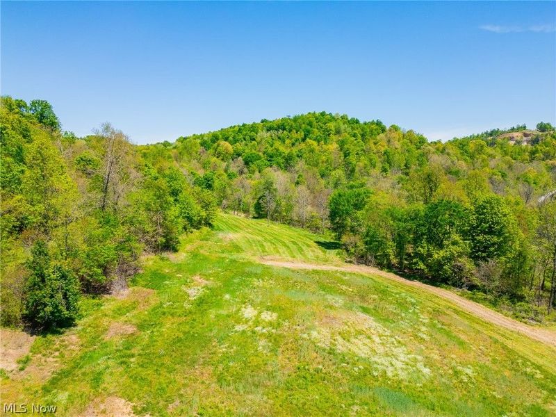 37500 Goose Run Road, Dexter City, OH 45727 Photo 19