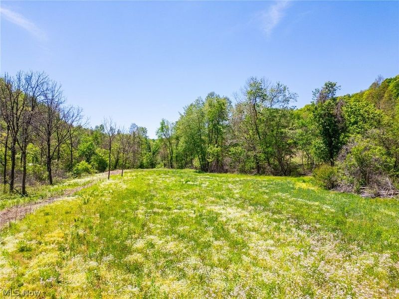 37500 Goose Run Road, Dexter City, OH 45727 Photo 2