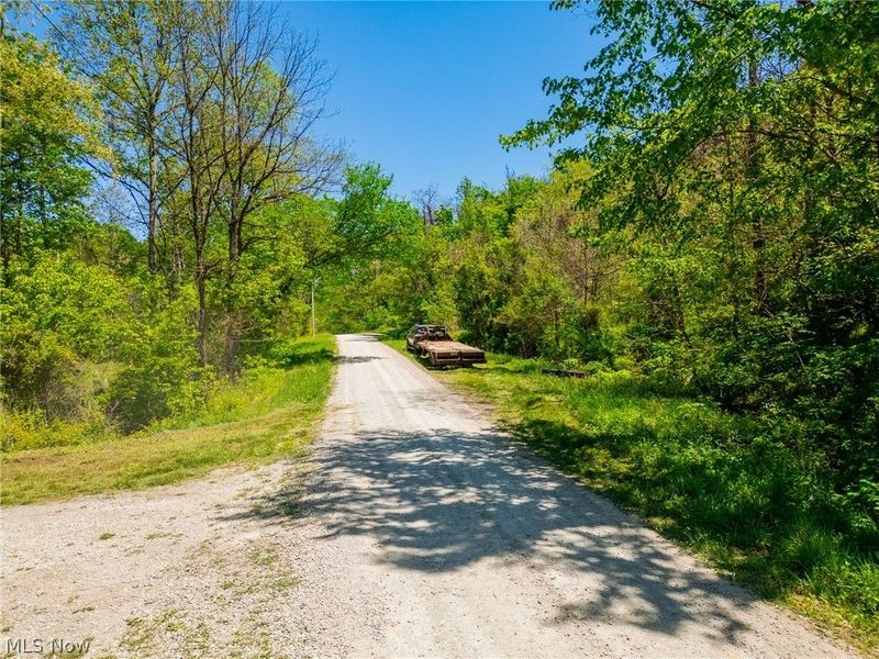 37500 Goose Run Road, Dexter City, OH 45727 Photo 27