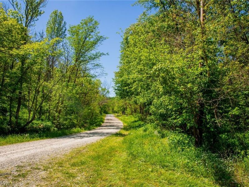 37500 Goose Run Road, Dexter City, OH 45727 Photo 28
