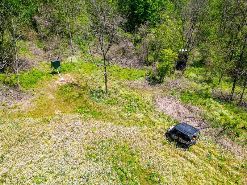 37500 Goose Run Road, Dexter City, OH 45727 Photo 3