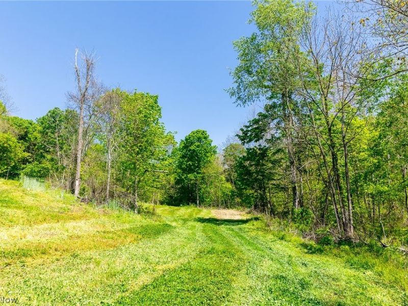37500 Goose Run Road, Dexter City, OH 45727 Photo 34
