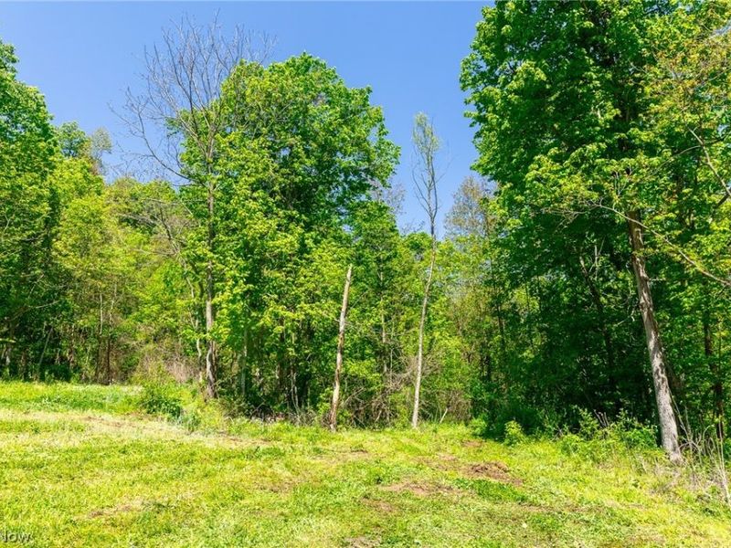 37500 Goose Run Road, Dexter City, OH 45727 Photo 36
