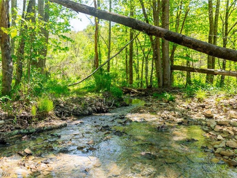 37500 Goose Run Road, Dexter City, OH 45727 Photo 37