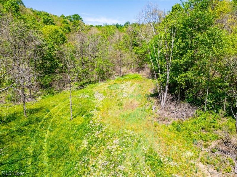 37500 Goose Run Road, Dexter City, OH 45727 Photo 4