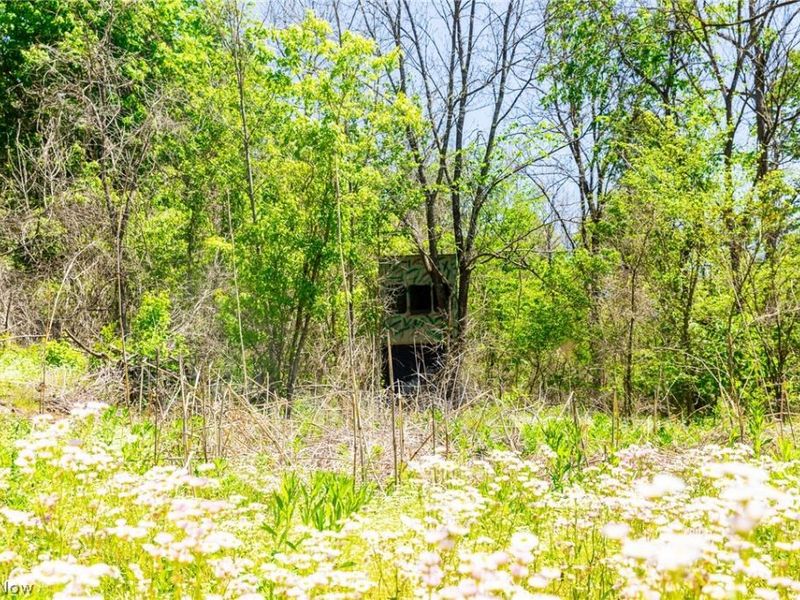 37500 Goose Run Road, Dexter City, OH 45727 Photo 41