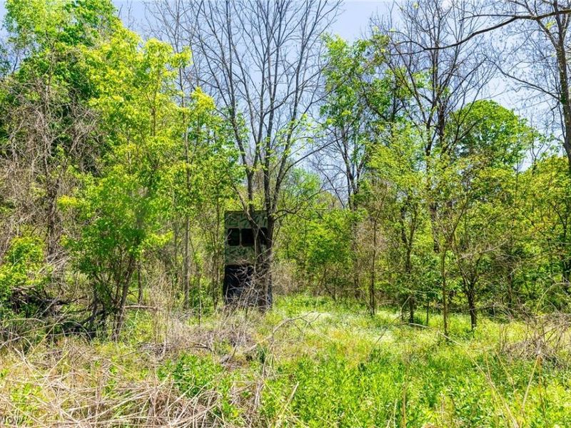 37500 Goose Run Road, Dexter City, OH 45727 Photo 43