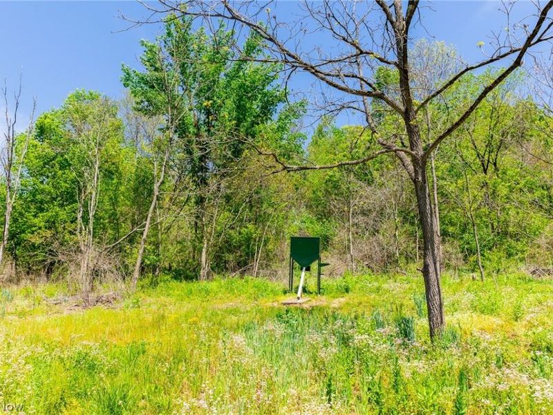 37500 Goose Run Road, Dexter City, OH 45727 Photo 44