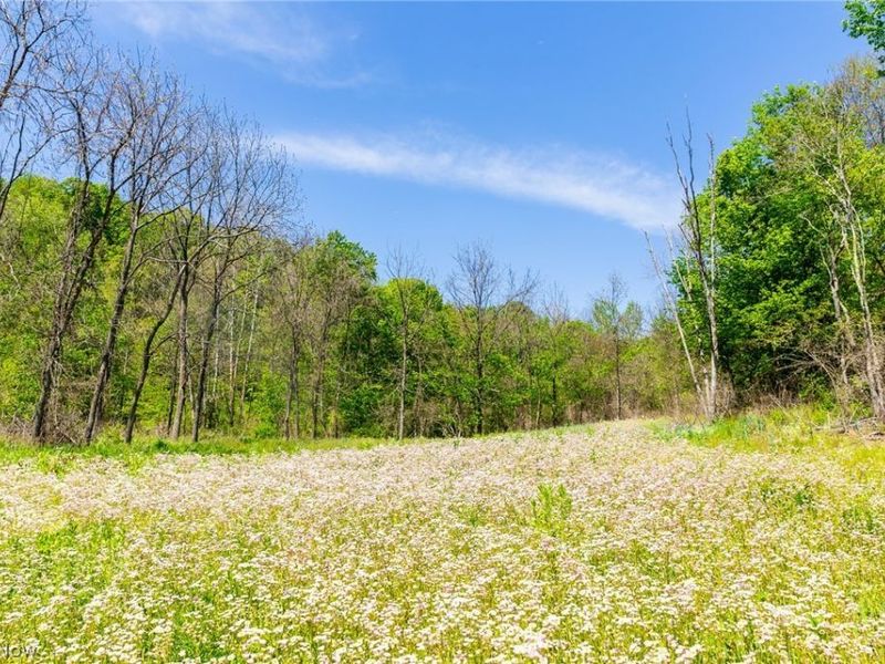37500 Goose Run Road, Dexter City, OH 45727 Photo 45