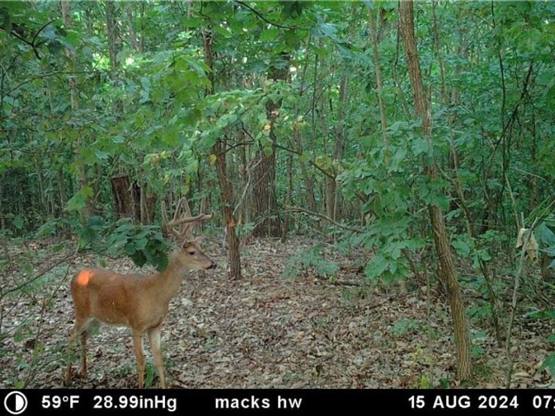 37500 Goose Run Road, Dexter City, OH 45727 Photo 48