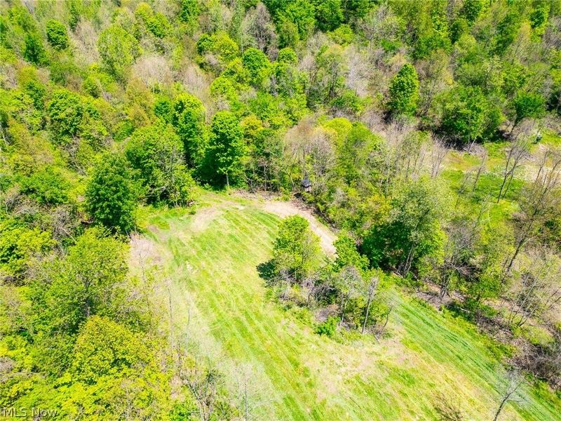37500 Goose Run Road, Dexter City, OH 45727 Photo 6