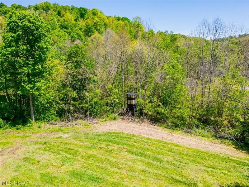 37500 Goose Run Road, Dexter City, OH 45727 Photo 7