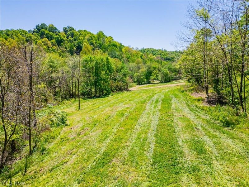 37500 Goose Run Road, Dexter City, OH 45727 Photo 8