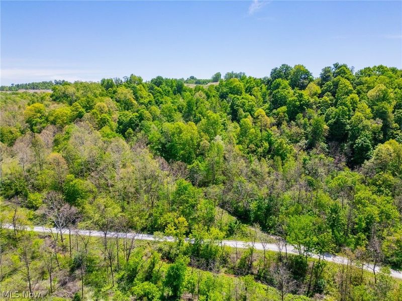 37500 Goose Run Road, Dexter City, OH 45727 Photo 9