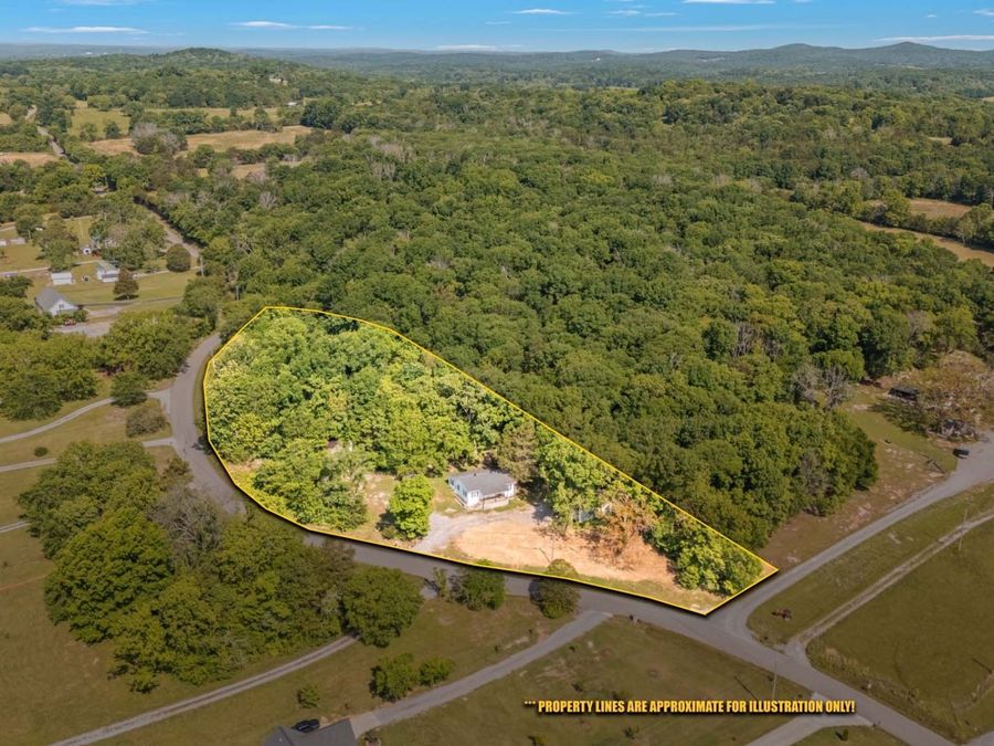 Property Image 4